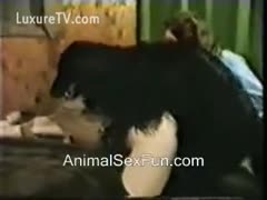 Vintage homemade clip of bubble arse blond fucking dog